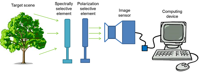 DoT spectropolarimeter