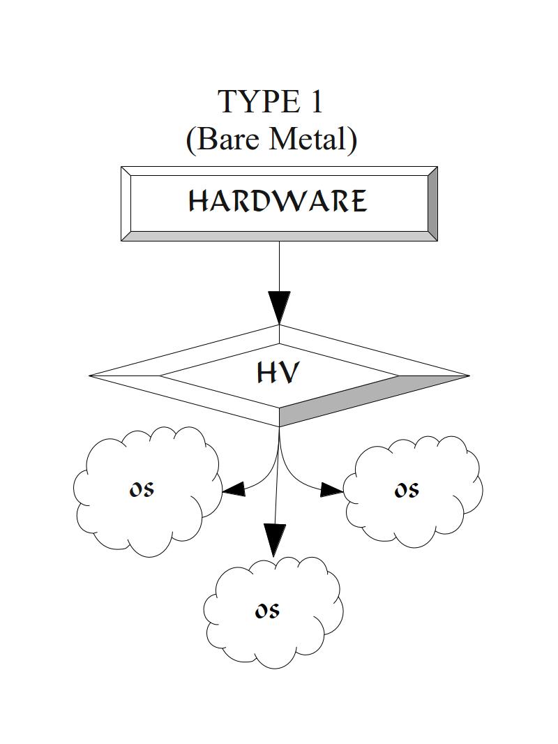 Figure 1: Type 1 Hypervisor