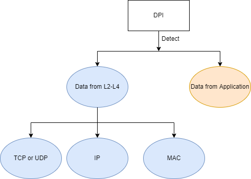 Data that DPI can Detect