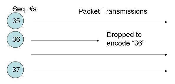 [Network Steganography]