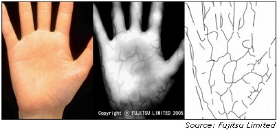 Figure - One example of vein scanning [Khan, 2006].